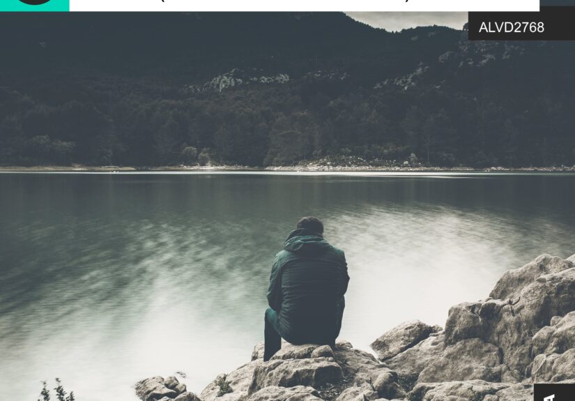 Silence (DJ John Bastian Remix)
